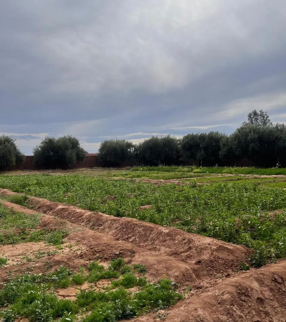 Séjour chez l'habitant Riad Oussari Marrakesh